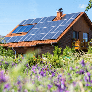 Les avantages des panneaux solaires en hiver
